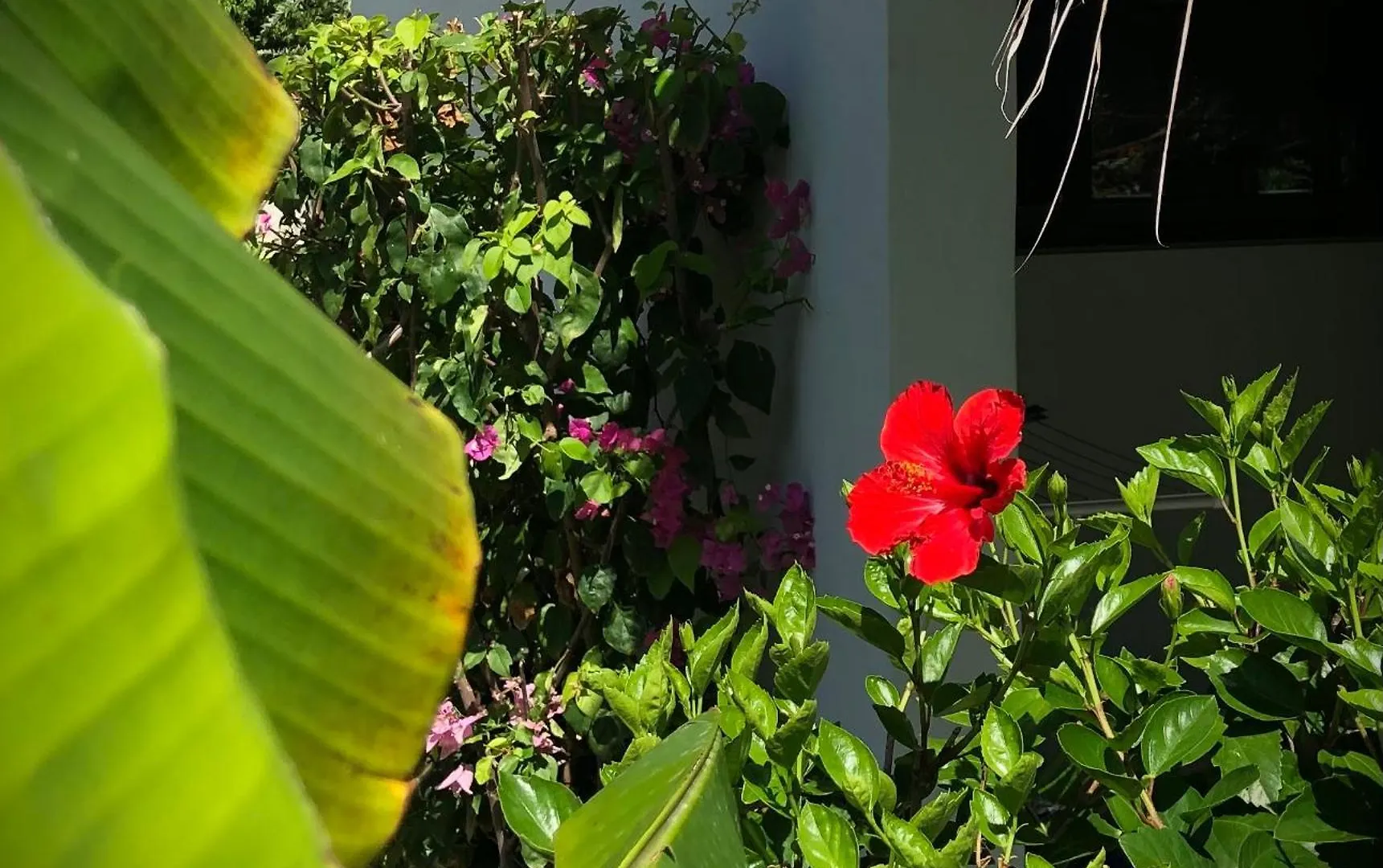 Apartment Sfeervolle Studio In Encuentro Cabarete